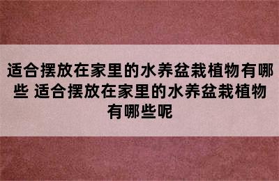 适合摆放在家里的水养盆栽植物有哪些 适合摆放在家里的水养盆栽植物有哪些呢